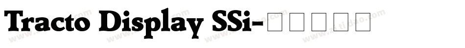 Tracto Display SSi字体转换